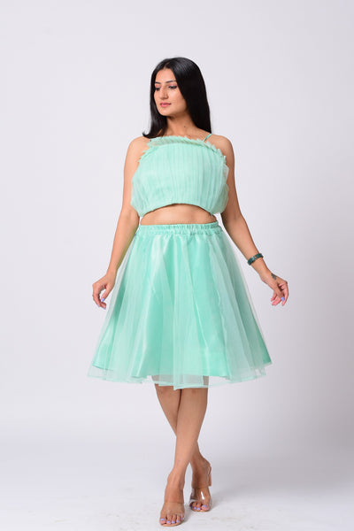 Sea Green Net Skirt With Top.